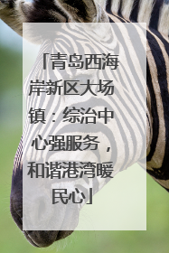 青岛西海岸新区大场镇：综治中心强服务，和谐港湾暖民心
